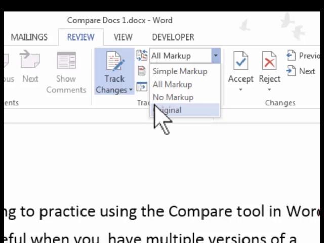 How to Use the Track Changes Feature