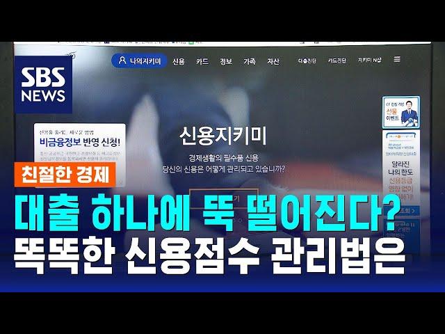 대출만 내도 신용점수 떨어진다고?…똑똑한 신용점수 관리법은 / SBS / 친절한 경제