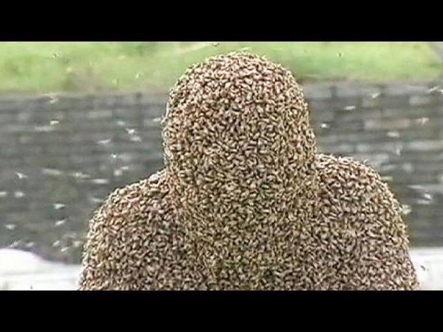 Man breaks Guinness record for the longest time spent covered in bees