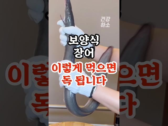 장어 이렇게 먹으면 독 됩니다 #건강#건강정보