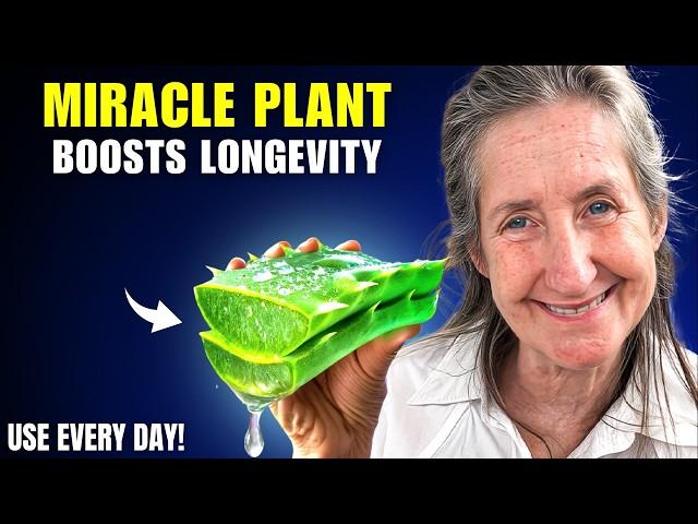 12 MIRACLE Houseplants That Can Help You LIVE LONGER! | Barbara O'Neill