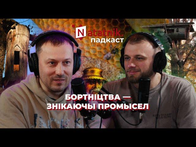 Традыцыя бортніцтва: дзікі мёд, пчаляры і пчаладзёры. Падкаст Natatnik з Іванам Восіпавым