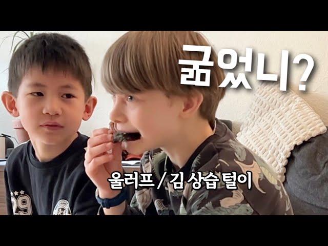 한국에서 온 인기남의 생일 vlog  l 우리집에 찾아온 김 상습 털이범 l  운명의 짝꿍 발견  l 스웨덴 브이로그