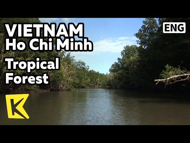 【K】Vietnam Travel-Ho Chi Minh[베트남 여행-호치민]베트남 전쟁 지역, 열대 숲/Mangrove Forest/Tropical Forest/War/Boat