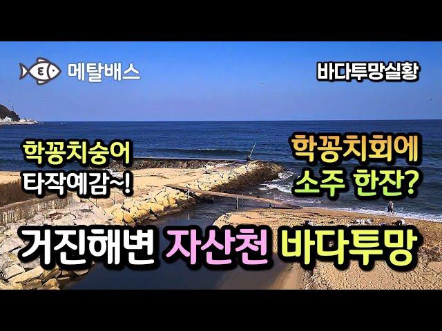 형광등 학꽁치투망과 겨울 대숭어투망 대박조과 기대합니다. 고성 거진해변 자산천 동해바다투망, 고성 방가방가 바다투망달인 속보 #castnet #fishing #playpesca