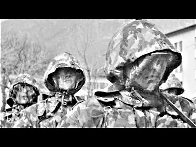 1961 SWISS COMBAT UNIFORM: Vintage Film (w/Subtitles)