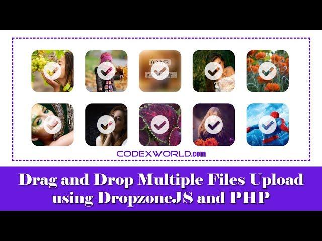 Drag and Drop File Upload using DropzoneJS and PHP