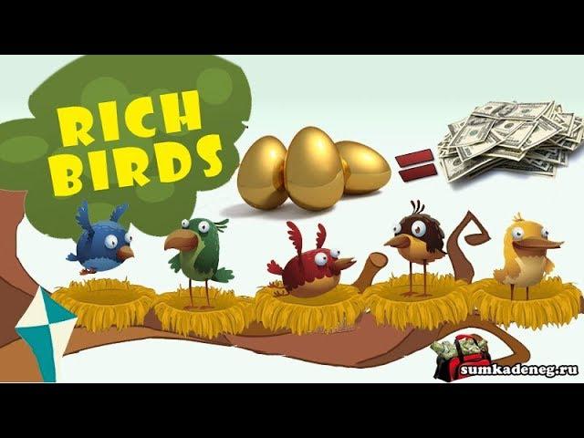 Rich birds (рич бердс) Лохотрон или заработок ? | Обзор