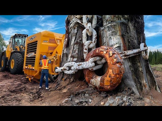 Increíbles Máquinas Pesadas Que Nunca Has Visto