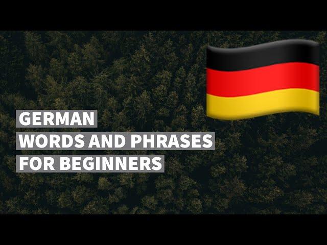 German words and phrases for absolute beginners. Learn the German language easily. (16 topics).