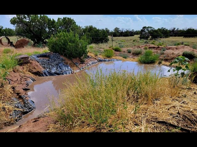 From High Desert to Oasis | How to make your land hold water