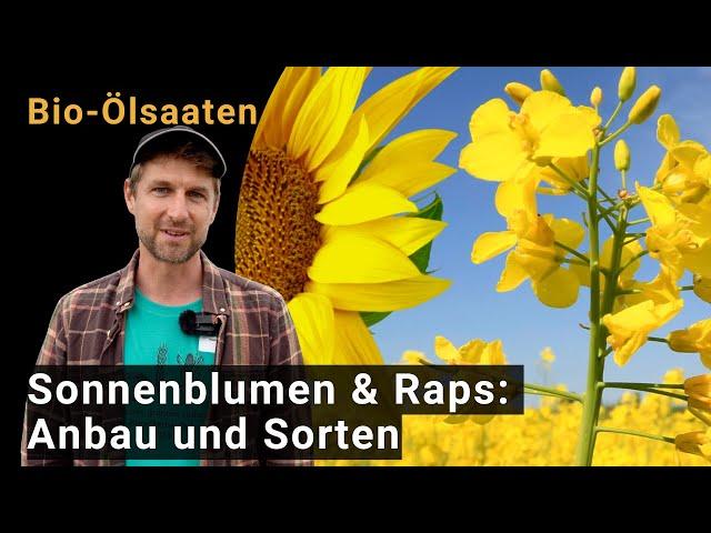 Ölsaaten: Sonnenblumen und Raps - Anbau und Sorten