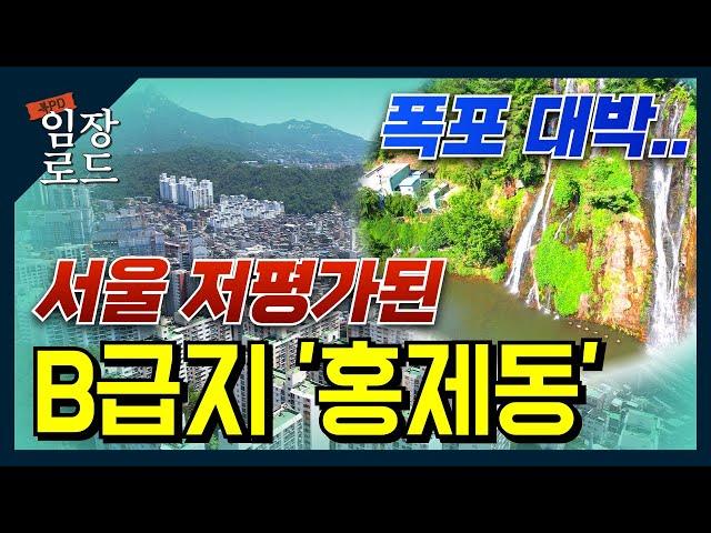 저평가된 서울 달동네 '홍제동' A급지로 탈바꿈 중│서울에 아직 이런 가격이 있다고?│임장로드