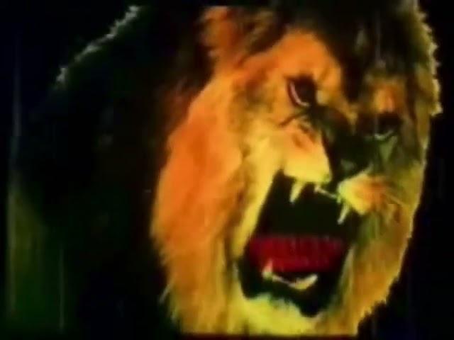 Scary Shera Films Lion Logo  Pakistan (1970's To The 1990's)