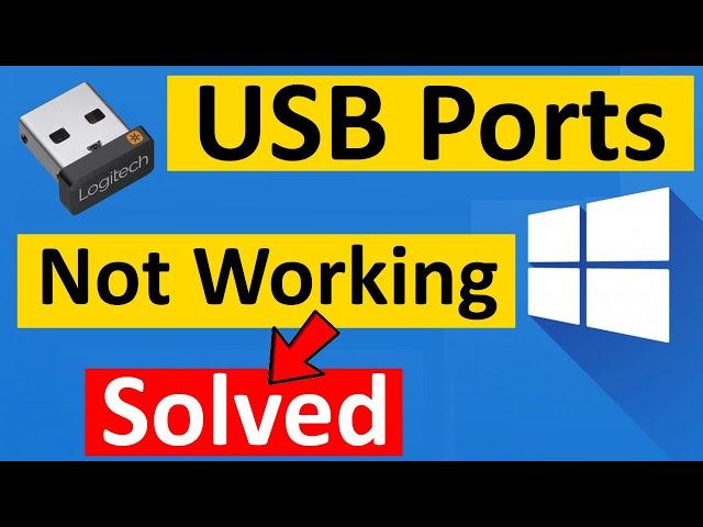 How to Fix USB Ports Not Working in Windows 10/11