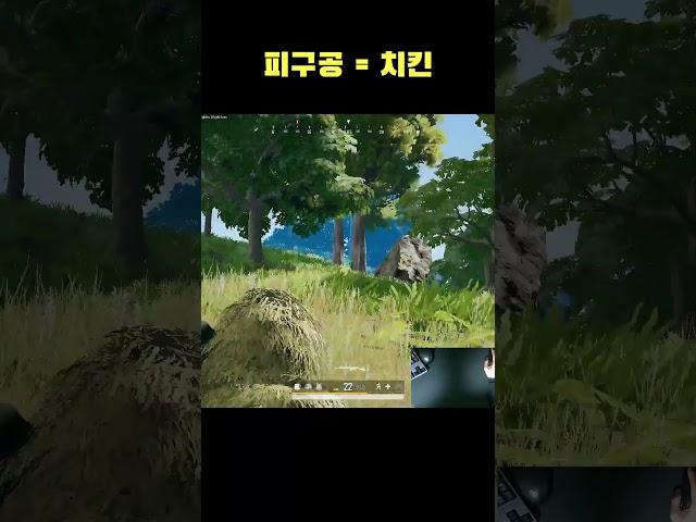 피구공은 뭐다??   #Shorts #바실리