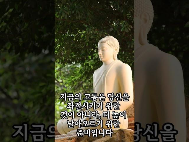 50대 필독! 부처님 말씀: 지금 당신의 고통, 숨겨진 성장의 기회! #인생후반전 #마음의힘 #지혜의말씀 #극복
