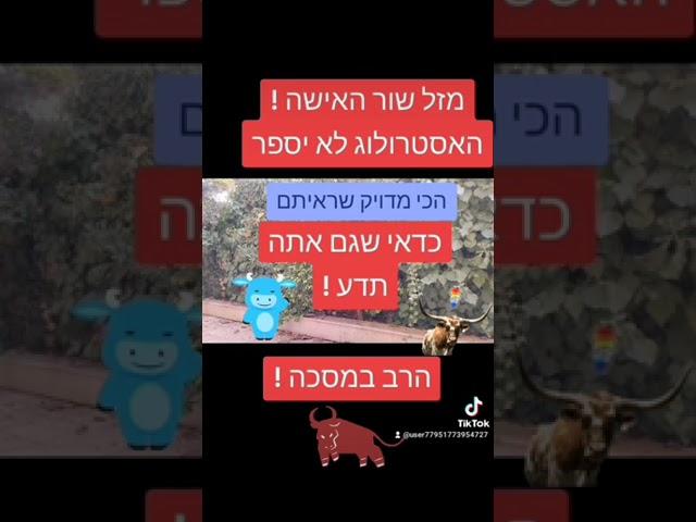 הרב במסכה מדייק מזל שור