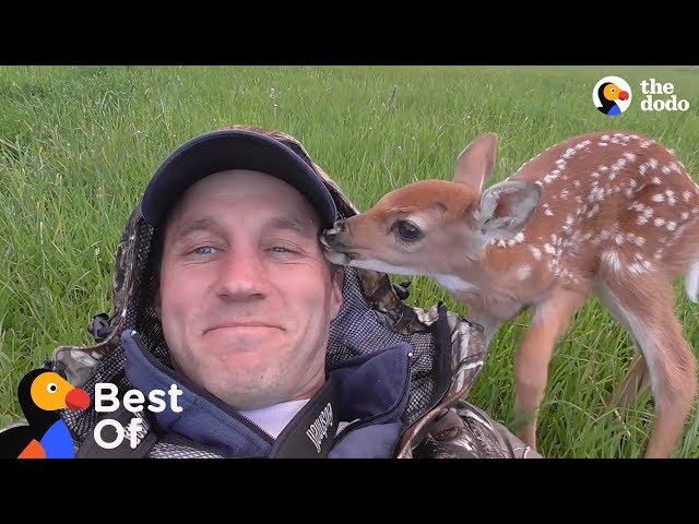 Baby Animals Are So Grateful These Guys Saved Their Lives | The Dodo Best Of