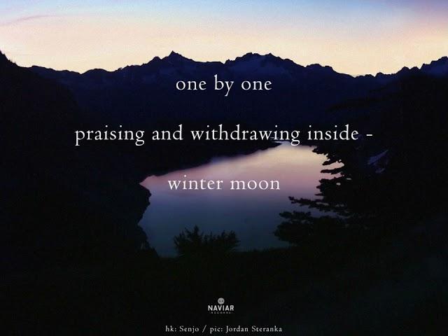 Wilfried Hanrath - Wintermoon (Naviarhaiku 578)