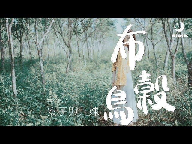 安子與九妹 - 布穀鳥『哪里有永恒的微笑』【動態歌詞Lyrics】