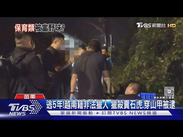 一籃滿滿鱗片是「牠們」 越南失聯移工 獵殺穿山甲.石虎 ｜TVBS新聞  @haveapetday