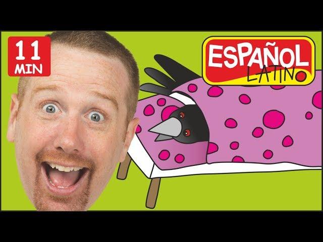 Johny Johny + MÁS | Aprender con Steve and Maggie Español Latino
