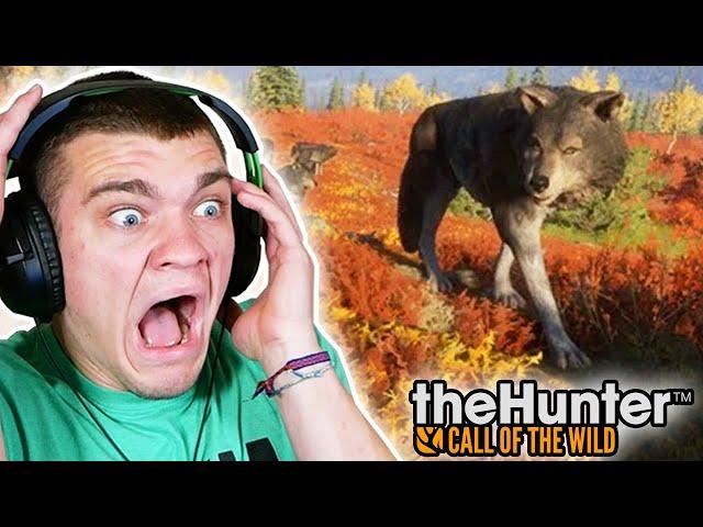 the wolves tried to kill me again... Hunter Call of the Wild Ep.71