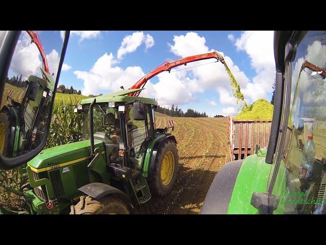 Ein Hirsch am kämpfen | Pöttinger Mex Profi-K | John Deere 6210