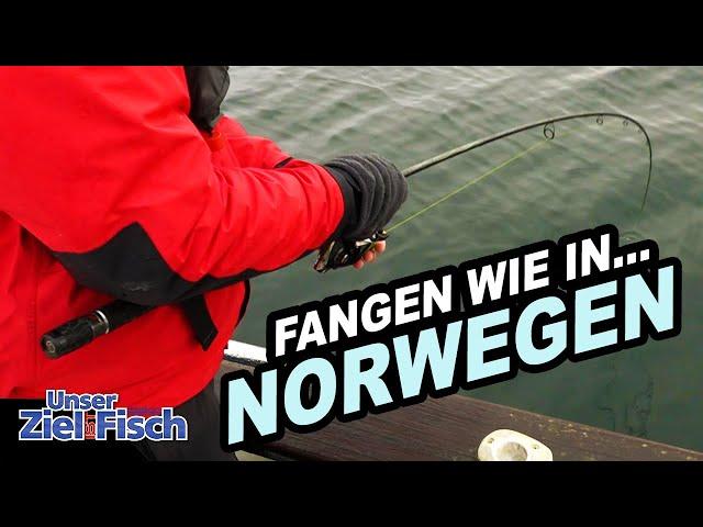 DORSCHINFERNO in NEUSTÄDTER BUCHT - SO geht FISCH SATT in der OSTSEE - Angelschule mit Jörg Ovens