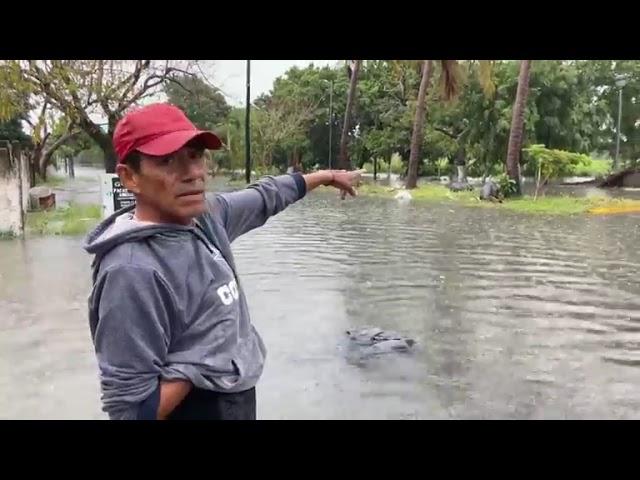 Se desborda lagunda de lagartos