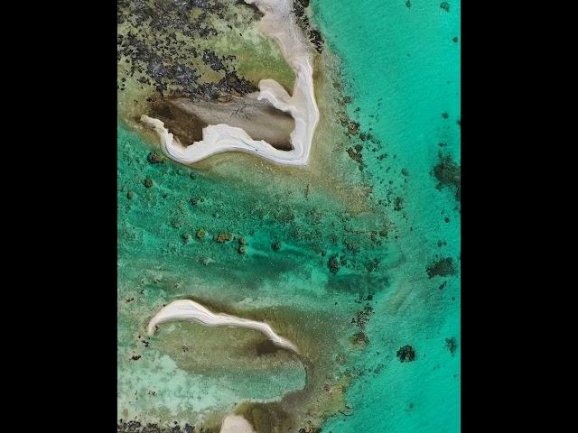 Henthorne Explores | 4K | Tikehau