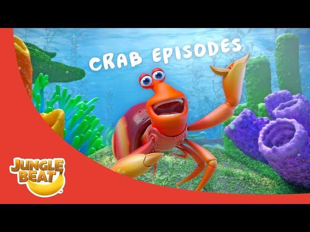 Happy Hermitcrab  – JB S3 Animal Compilation #4