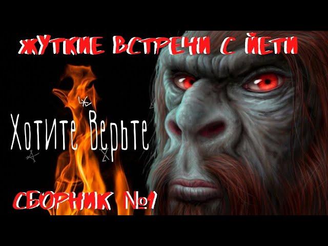 Жуткие встречи с Йети.Сборник№1.Рассказы очевидцев.