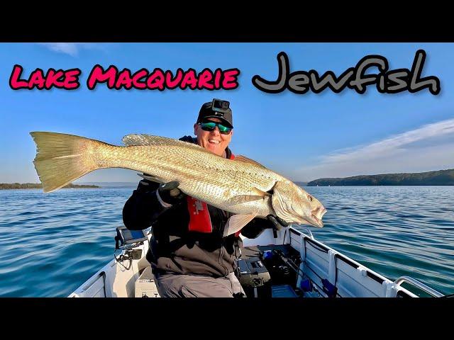 Vibe fishing for jewfish/mulloway - plus best way to retrieve the vibe.