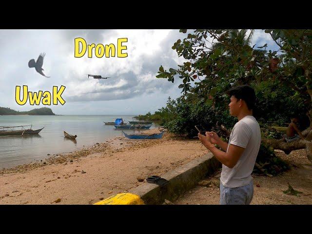 UMATAKI ANG UWAK MUNTIK NG DAGITIN ANG DRONE