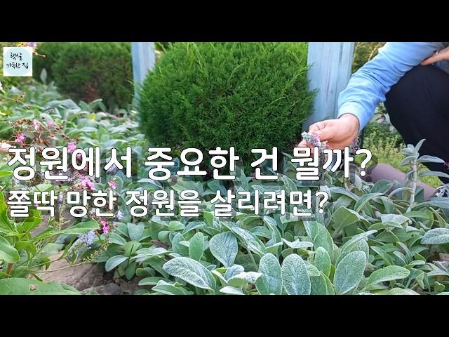 정원에서 중요한 건 뭘까?/쫄딱 망한 정원을 살리려면?/가드닝  정원가꾸기 식물키우기 정원꾸미기