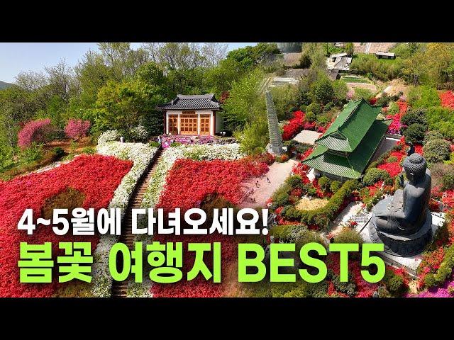 해외보다 더 이국적인 4~5월 봄꽃 여행지 BEST 5