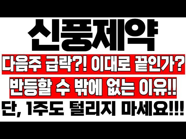 [신풍제약 주가 분석] 다음주 급락?! 이대로 끝인가?! 반등할수 밖에 없는 이유!! 한가지!!! #이교수