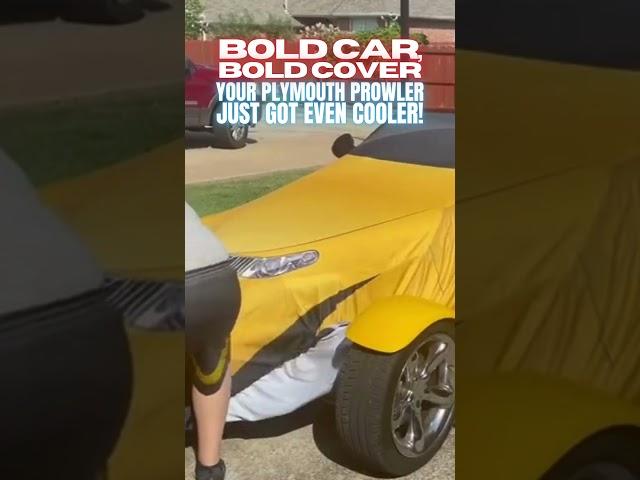 Your Plymouth Prowler deserves a cover that matches its flair! 