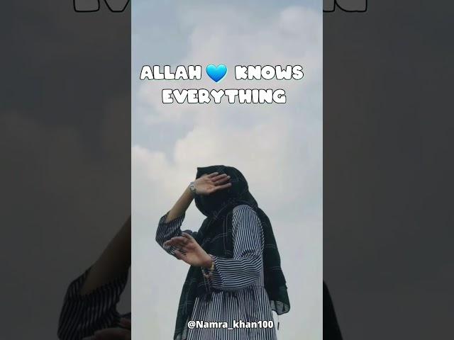 Allah knows everything ️ #explore #online #deenvibes #deen #muslimahs #exploreislam #islamicquotes