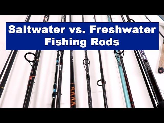 Saltwater vs. Freshwater Fishing Rods: Differences, Maintenance Tips, And When To Use Each One