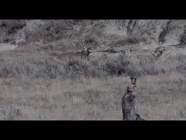 Giant Archery Mule Deer - Incredible Kill Shot!!