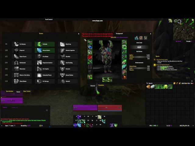 Demon Hunter bug