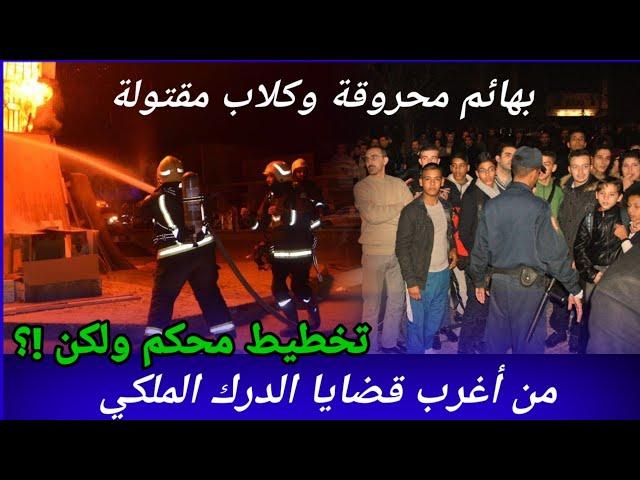الحلقة294,تخطيط محكم ولكن!،من أغرب قضايا الدرك الملكي،تحريات،كيفاش حصل،قصص بوليسية مغربية،لغز تحري