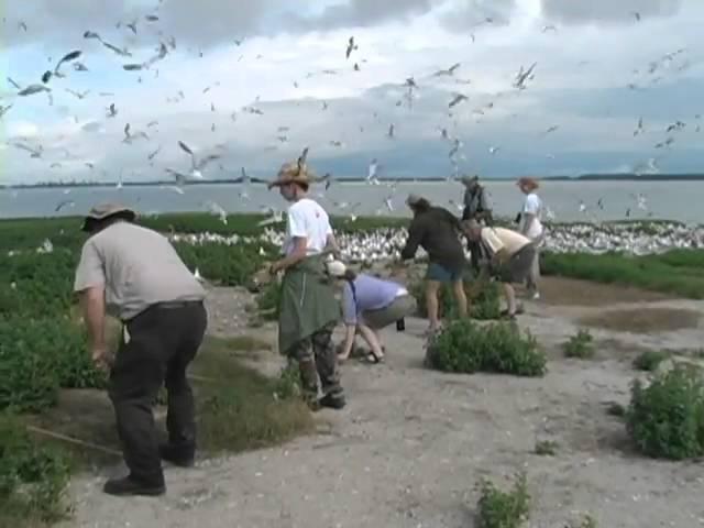 Tomkins Bird Sanctuary