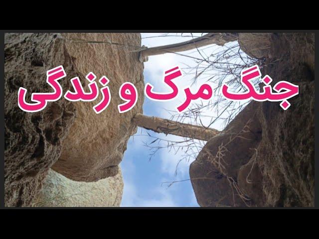 مشکلات بی اندازه قریه دور افتاده "اولاد" ولسوالی جاغوری