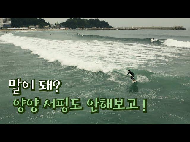 [Surfing] Does that make sense? Didn't even try Yangyang surfing!