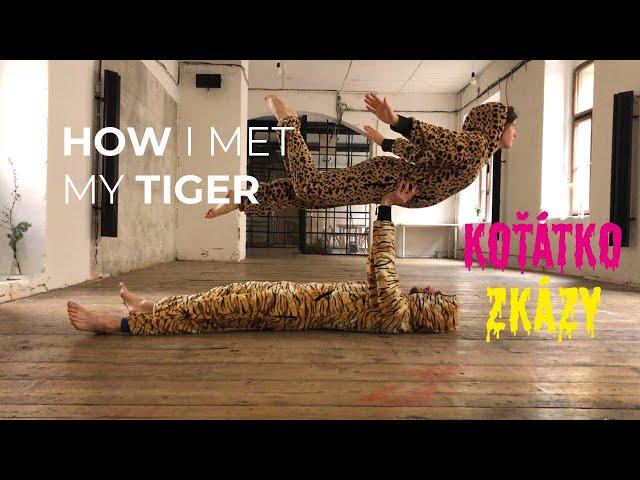 How I Met My Tiger | Koťátko zkázy