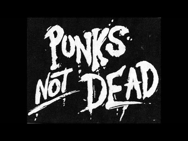 40 Genres Of Punk